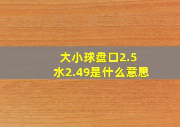 大小球盘口2.5 水2.49是什么意思